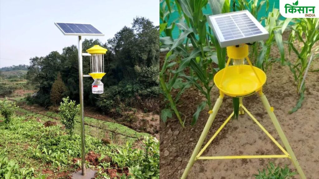 Trap for pests