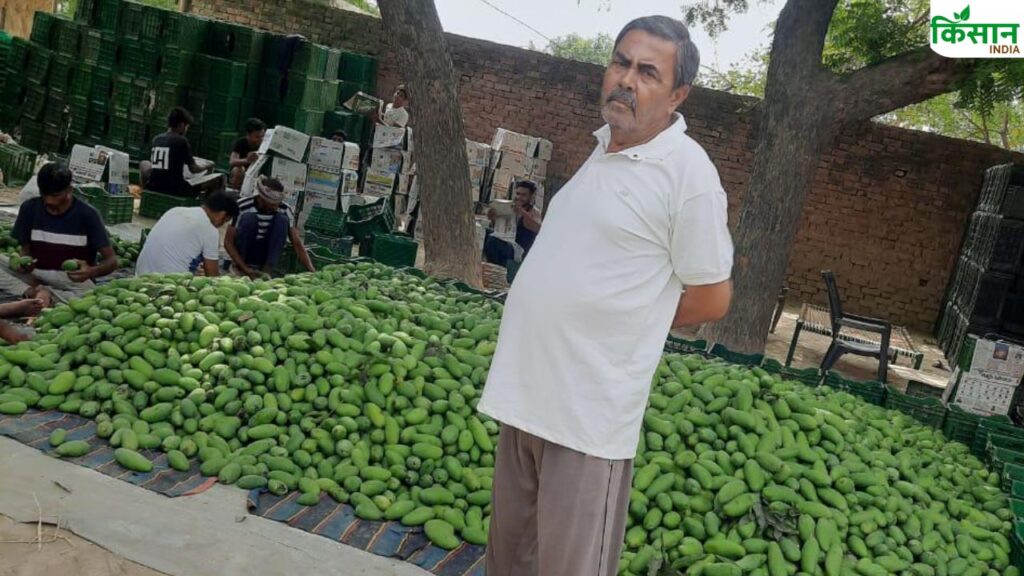 Sitapur Mango Farmer Aqeel Ahmad
