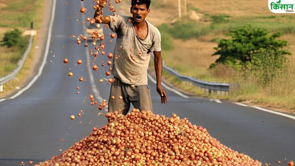 fall in onion price