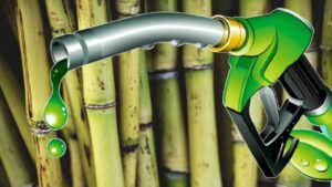 इथेनॉल ब्लेंडिंग से बच रहा भारत का पैसा, 4.5 करोड़ बैरल कम तेल आयात करना पड़ा.. ISMA ने बायोफ्यूल को ऊर्जा सुरक्षा का पिलर बताया  