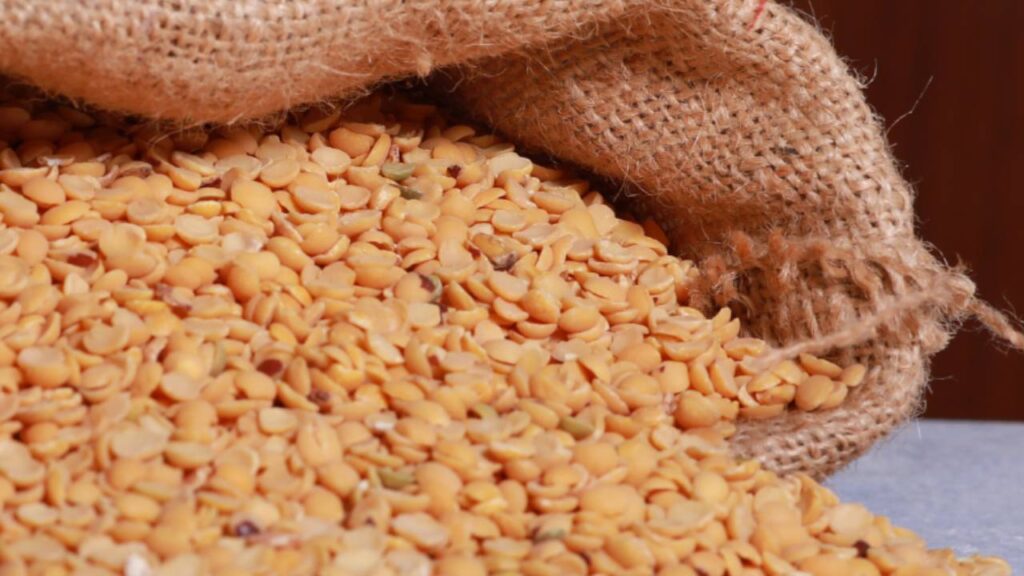 Tur Dal Prices Crash Below MSP as New Crop Arrives; Government Approves Purchase of 9.67 Lakh Tonnes to Support Farmers