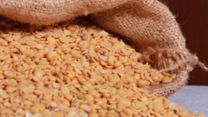 अरहर के दाम औंधे मुंह गिरे, MSP से नीचे पहुंची कीमतें- अब सरकार करेगी रिकॉर्ड खरीद अरहर के दाम औंधे मुंह गिरे, MSP से नीचे पहुंची कीमतें- अब सरकार करेगी रिकॉर्ड खरीद