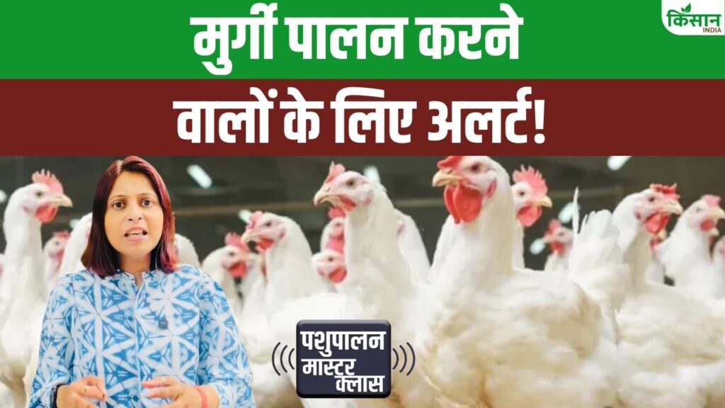 Poultry Farming