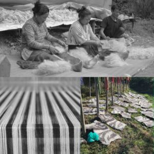 Rabbit farming