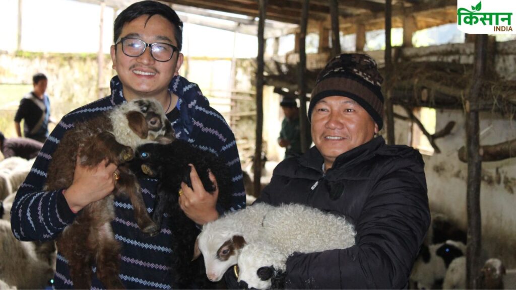 Angora rabbit farming