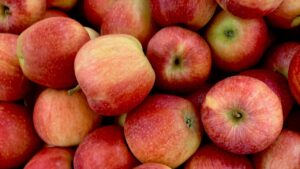 हिमाचल-कश्मीर में बारिश से सड़कें तबाह, फिर भी सेब सप्लाई में इजाफा.. किसान गदगद