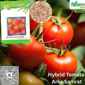 National Seed Corporation