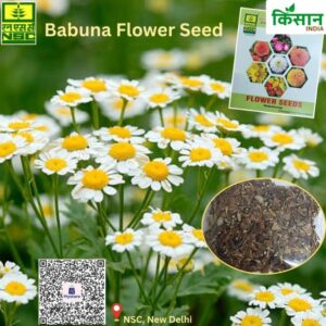 Chamomile Flower Farming