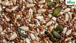 मैसूर देसी बीज महोत्सव में कृषि विरासत और फसल विविधता पर जोर, 100 से ज्यादा किस्म के बीज पेश