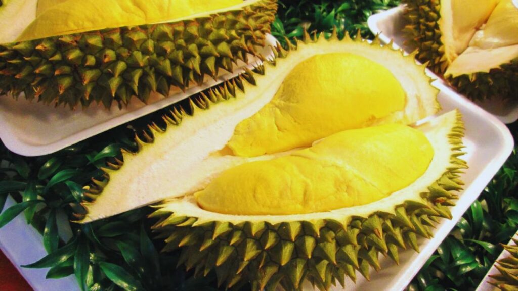 भारतीय किसानों के लिए खुला ब्रिटेन का बाजार, कृषि उत्पादों को मिलेगा जीरो ड्यूटी एक्सेस, फोटो क्रेडिट- pexels