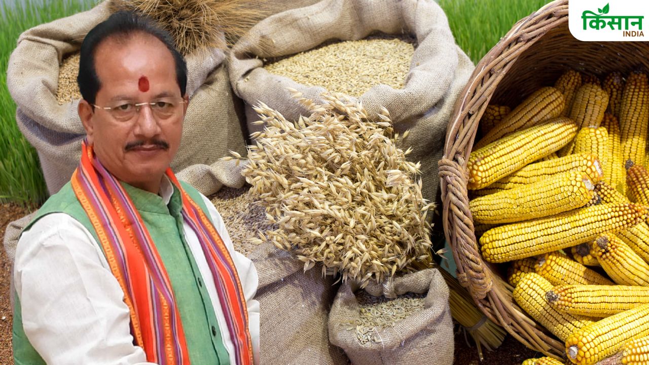 बिहार में बनेगा एपीडा कार्यालय, निर्यात के लिए अन्य राज्यों पर नहीं रहना होगा निर्भर