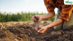 Report: उर्वरक नीति में सुधार नहीं हुआ तो मिट्टी और पोषण दोनों पर पड़ेगा गहरा असर, जानें कैसे
