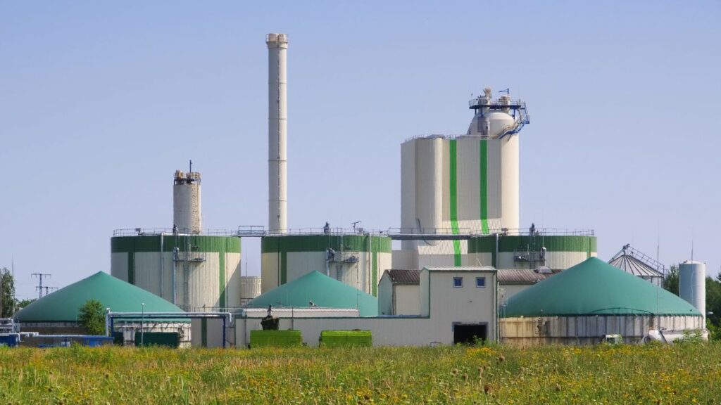 केवल 2-3 गायों के गोबर से एक छोटा बायोगैस प्लांट शुरू किया जा सकता है. सरकार और स्थानीय संस्थाएं इसकी स्थापना में मदद करती हैं, जिससे यह ग्रामीण विकास का मजबूत आधार बन रहा है. केवल 2-3 गायों के गोबर से एक छोटा बायोगैस प्लांट शुरू किया जा सकता है. सरकार और स्थानीय संस्थाएं इसकी स्थापना में मदद करती हैं, जिससे यह ग्रामीण विकास का मजबूत आधार बन रहा है.