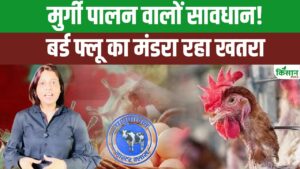 ओडिशा में एक बार फिर मंडरा रहा बर्ड फ्लू का खतरा, पुरी का अंकुला गांव बना संक्रमण का केंद्र