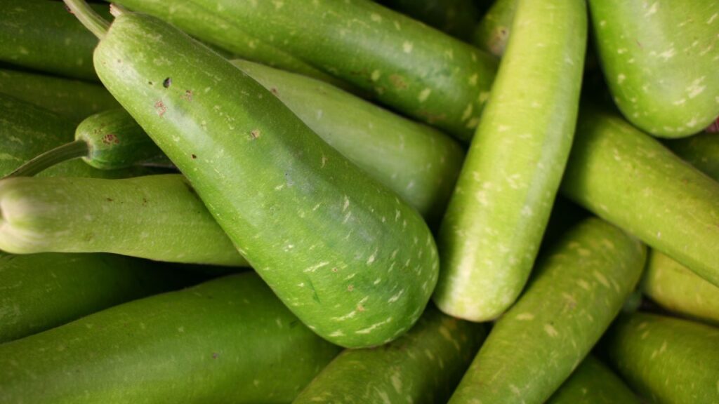 अगर आप वजन घटाने की कोशिश कर रहे हैं तो लौकी के बीज आपकी डाइट का हिस्सा बन सकते हैं. इनमें कैलोरी कम और पोषण अधिक होता है, जिससे पेट लंबे समय तक भरा रहता है और ओवरईटिंग से बचाव होता है.