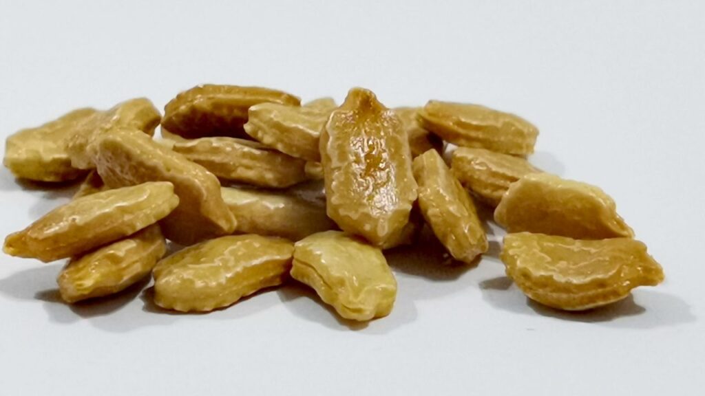 लौकी के बीजों में मौजूद जिंक, विटामिन ई और एंटीऑक्सीडेंट्स स्किन को चमकदार और जवान बनाए रखते हैं. यह बालों को जड़ से मजबूत करता है और बाल झड़ने की समस्या को भी कम करता है.