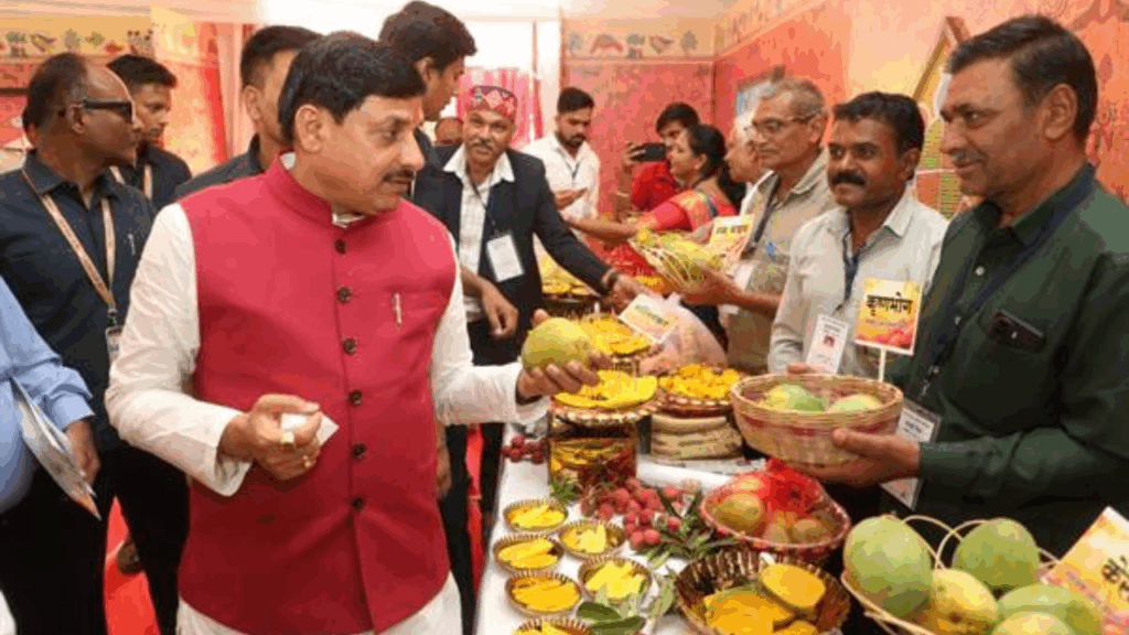 फल विक्रेता से बातचीत करते हुए सीएम मोहन यादव ने जाना उसका हाल, पूछा कारोबार कैसा चल रहा है भैया? इस अपनापन ने हर किसी को छू लिया.