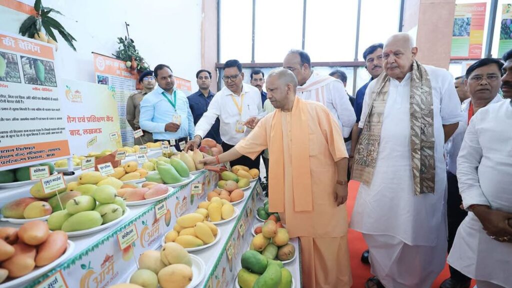 उत्तर प्रदेश आम महोत्सव 2025 के तहत राज्य के आम पहली बार दो देशों को एयर कार्गो से भेजे गए. सरकार की सब्सिडी योजना से बागवानों को बेहतर मुनाफा और अंतरराष्ट्रीय बाजार में नई पहचान मिली. उत्तर प्रदेश आम महोत्सव 2025 के तहत राज्य के आम पहली बार दो देशों को एयर कार्गो से भेजे गए. सरकार की सब्सिडी योजना से बागवानों को बेहतर मुनाफा और अंतरराष्ट्रीय बाजार में नई पहचान मिली.