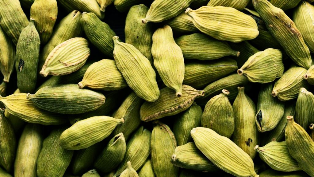 MCX पर लौटेगा इलायची वायदा कारोबार, वंदनमेडु होगा डिलीवरी सेंटर, फोटो क्रेडिट- pexels MCX पर लौटेगा इलायची वायदा कारोबार, वंदनमेडु होगा डिलीवरी सेंटर, फोटो क्रेडिट- pexels