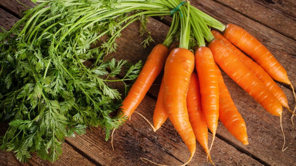 How to Grow Fresh and Juicy Carrots at Home? An Easy Guide for Beginners