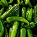Chilli Cultivation