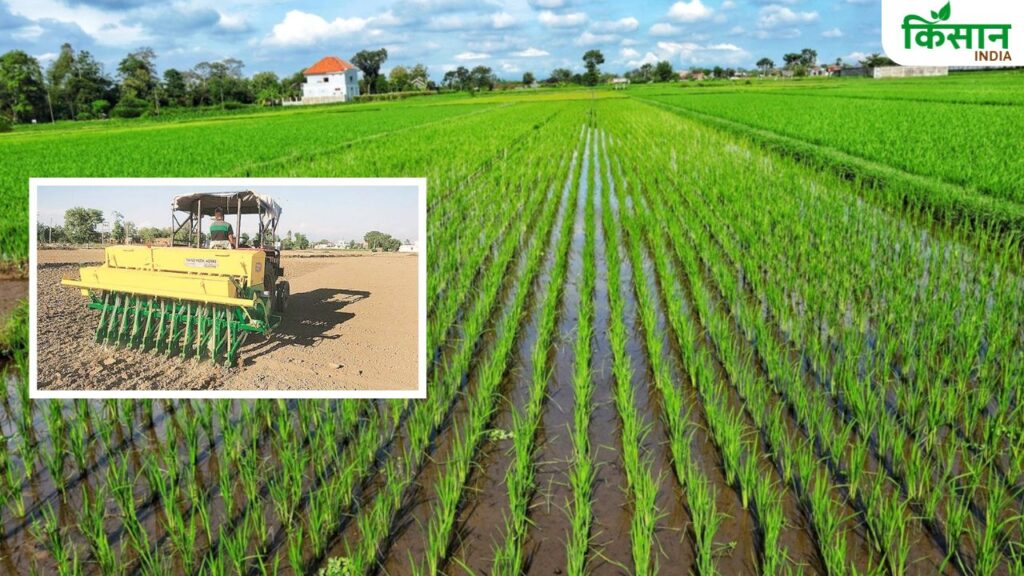 Rice Farming