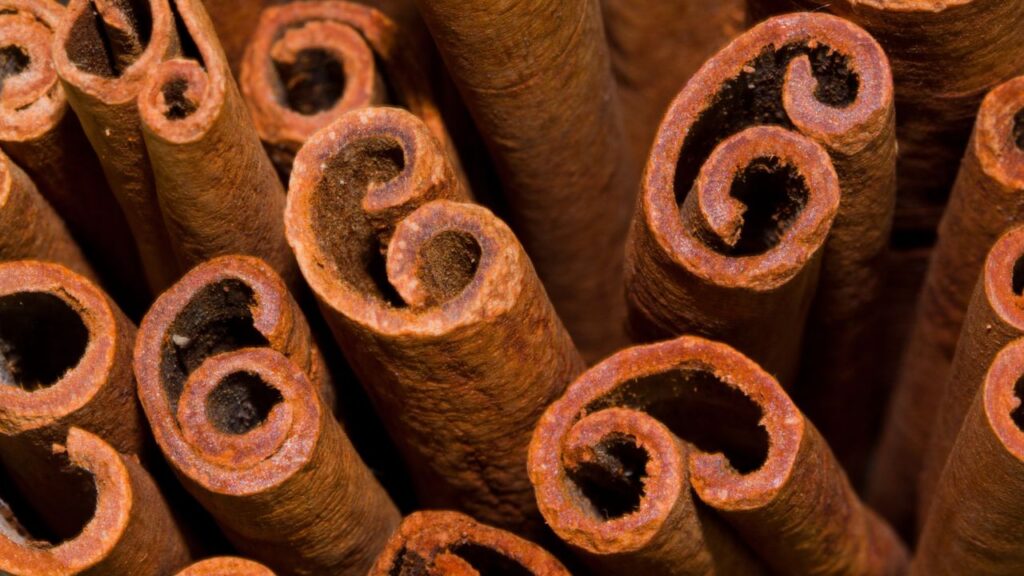 मॉनसून में डायरिया और पेट खराब होना आम बात है. ऐसे में दालचीनी का सेवन पाचन को दुरुस्त रखता है और गैस, अपच जैसी समस्याओं को दूर करता है. इसमें मौजूद फाइबर और एंटीऑक्सीडेंट पेट को आराम देते हैं. मॉनसून में डायरिया और पेट खराब होना आम बात है. ऐसे में दालचीनी का सेवन पाचन को दुरुस्त रखता है और गैस, अपच जैसी समस्याओं को दूर करता है. इसमें मौजूद फाइबर और एंटीऑक्सीडेंट पेट को आराम देते हैं.