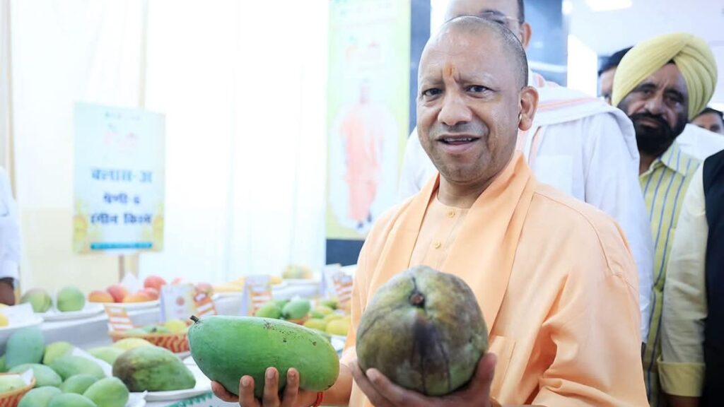 9 जुलाई से शुरू होगा ‘एक पेड़ मां के नाम’ अभियान, लगाए जाएंगे 50 करोड़ पौधे. सीएम योगी ने कहा कि बागवानी से आत्मनिर्भर भारत का सपना होगा. 9 जुलाई से शुरू होगा ‘एक पेड़ मां के नाम’ अभियान, लगाए जाएंगे 50 करोड़ पौधे. सीएम योगी ने कहा कि बागवानी से आत्मनिर्भर भारत का सपना होगा.