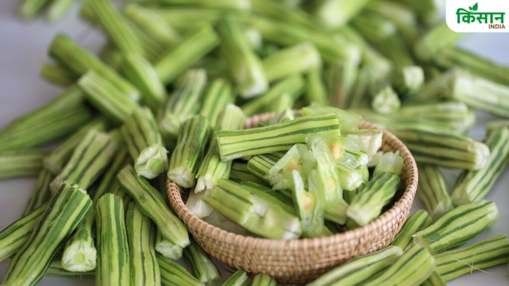 Maharashtra Success story