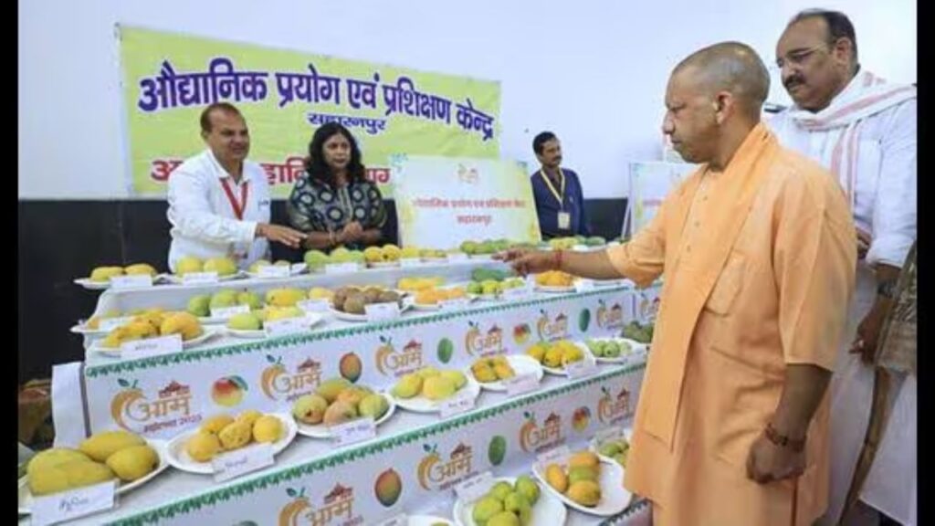 सीएम योगी ने कहा कि बागवानी फसलों और आधुनिक तकनीक ने बदली खेती की तस्वीर, पहले किसान साल में एक फसल लेते थे, अब तीन-तीन फसलें उगा रहे हैं, सरकार हर स्तर पर दे रही मदद. सीएम योगी ने कहा कि बागवानी फसलों और आधुनिक तकनीक ने बदली खेती की तस्वीर, पहले किसान साल में एक फसल लेते थे, अब तीन-तीन फसलें उगा रहे हैं, सरकार हर स्तर पर दे रही मदद.