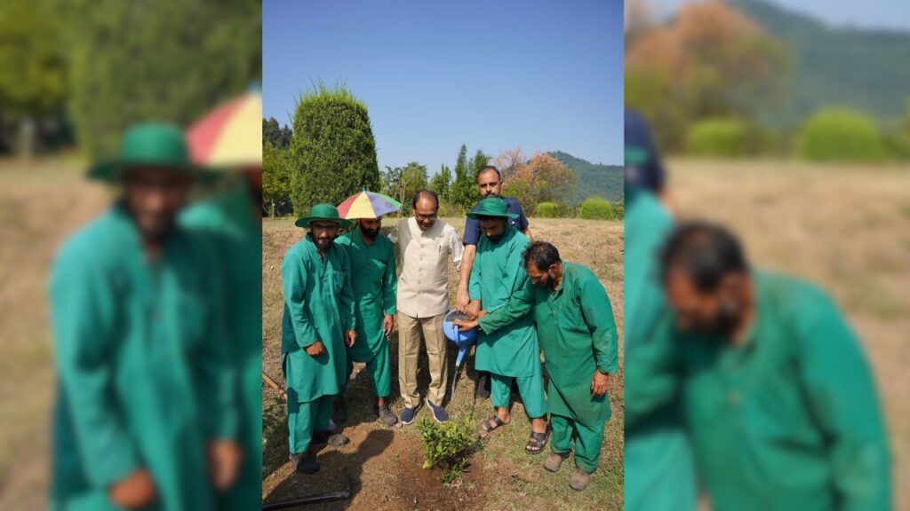 सेब उत्पादन बढ़ाने के लिए रिसर्च को प्राथमिकता दी जाएगी, विदेशों से आने वाले सेब पर ड्यूटी बढ़ाने की भी तैयारी, जिससे स्थानीय सेब को बढ़ावा मिलेगा.