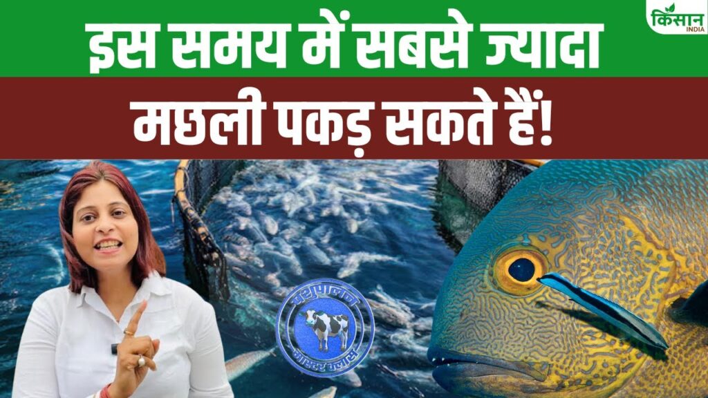 Fish Farming