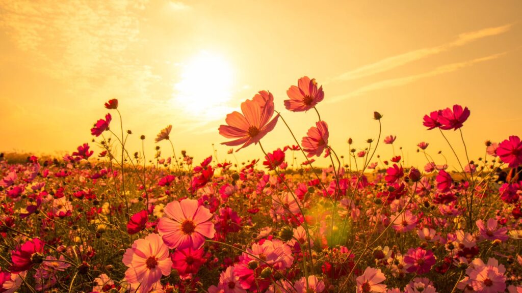 अगर आपके पास बगीचे के लिए जगह नहीं है, तो निराश न हों. इन सभी फूलों को आप गमलों में भी उगा सकते हैं. आपकी बालकनी भी एक मिनी गार्डन में बदल सकती है जहां न केवल हरियाली होगी, बल्कि खुशबू भी बसी रहेगी. अगर आपके पास बगीचे के लिए जगह नहीं है, तो निराश न हों. इन सभी फूलों को आप गमलों में भी उगा सकते हैं. आपकी बालकनी भी एक मिनी गार्डन में बदल सकती है जहां न केवल हरियाली होगी, बल्कि खुशबू भी बसी रहेगी.