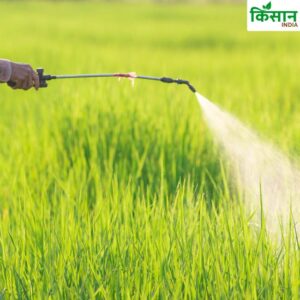 Foliar Spray Method