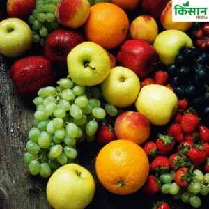 IFFCO All Rounder + for fruits