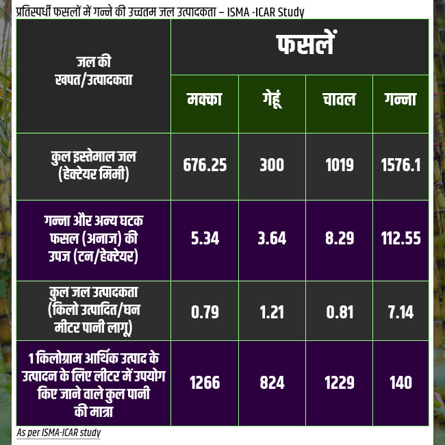 Sugarcane facts 