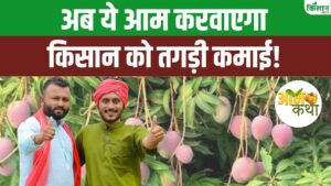 मध्य प्रदेश के गजरिया आम को मिला GI टैग, अब किसानों की बढ़ेगी कमाई