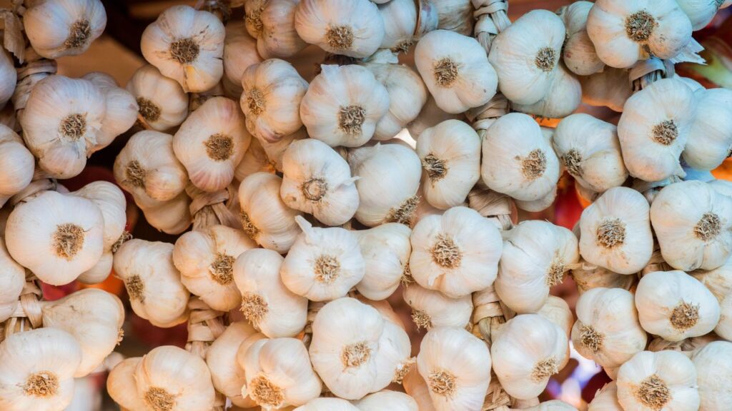 Garlic price drops