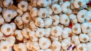 Mandi Bhav: लहसुन की कीमत में भारी गिरावट, 50 रुपये किलो हुआ रेट.. किसानों को नुकसान