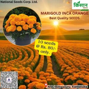 National Seed Corporation