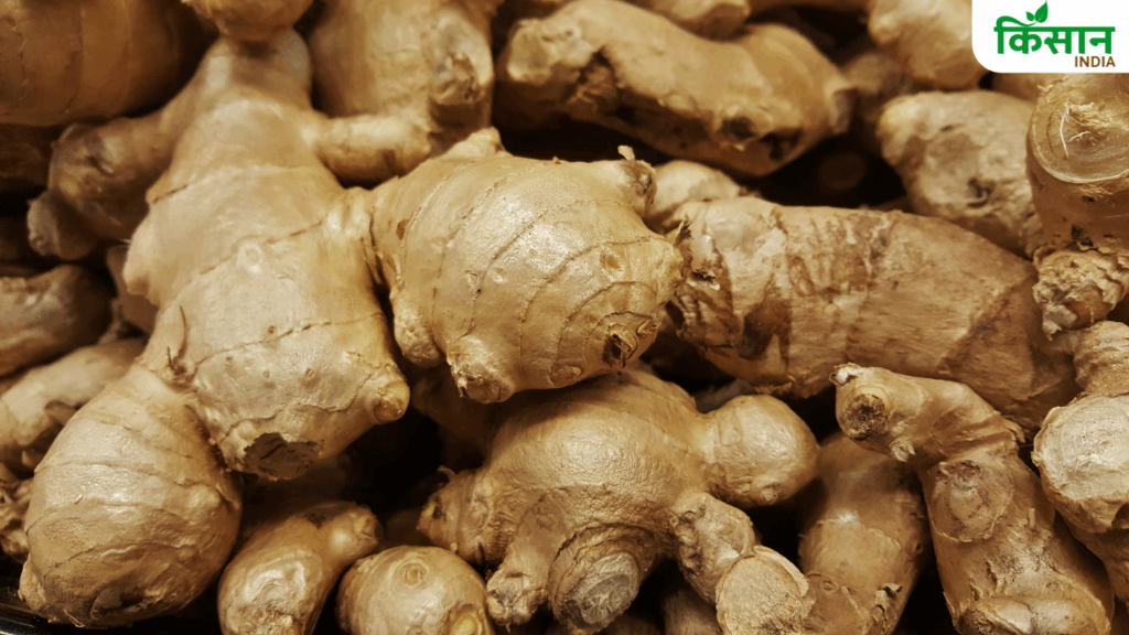 How to Identify Acid-Washed Ginger: Key Differences, Health Risks and Why Natural Ginger Is Safer
