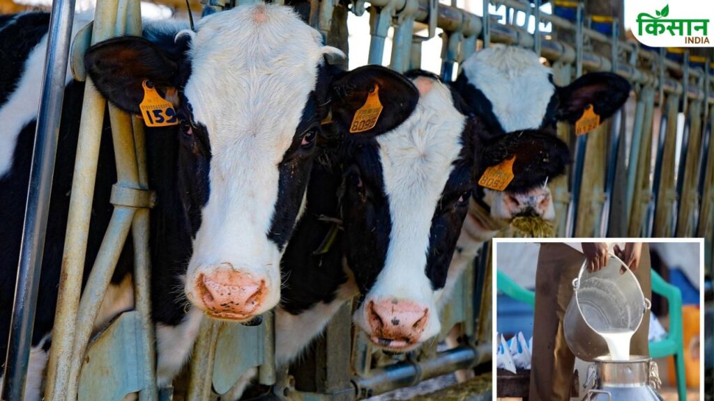 UP Dairy Production No 1