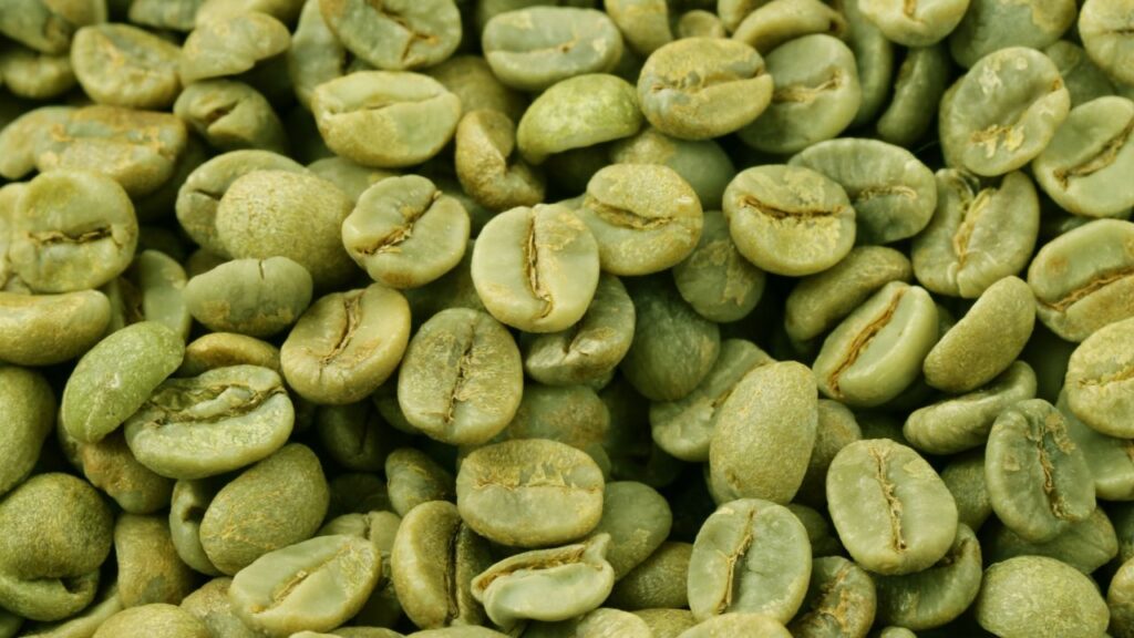 ग्रीन कॉफी में शक्तिशाली एंटीऑक्सीडेंट्स पाए जाते हैं जो शरीर की इम्युनिटी बढ़ाते हैं और हमें कई बीमारियों से बचाते हैं. यह सेहत को समग्र रूप से बेहतर बनाती है. ग्रीन कॉफी में शक्तिशाली एंटीऑक्सीडेंट्स पाए जाते हैं जो शरीर की इम्युनिटी बढ़ाते हैं और हमें कई बीमारियों से बचाते हैं. यह सेहत को समग्र रूप से बेहतर बनाती है.