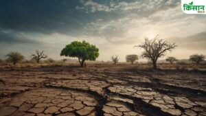 खेती ही नहीं पहाड़ों पर भी क्लाइमेट चेंज का बुरा असर.. वनस्पति को नुकसान, ग्रीन प्रोजेक्ट लौटाएगा हरियाली?