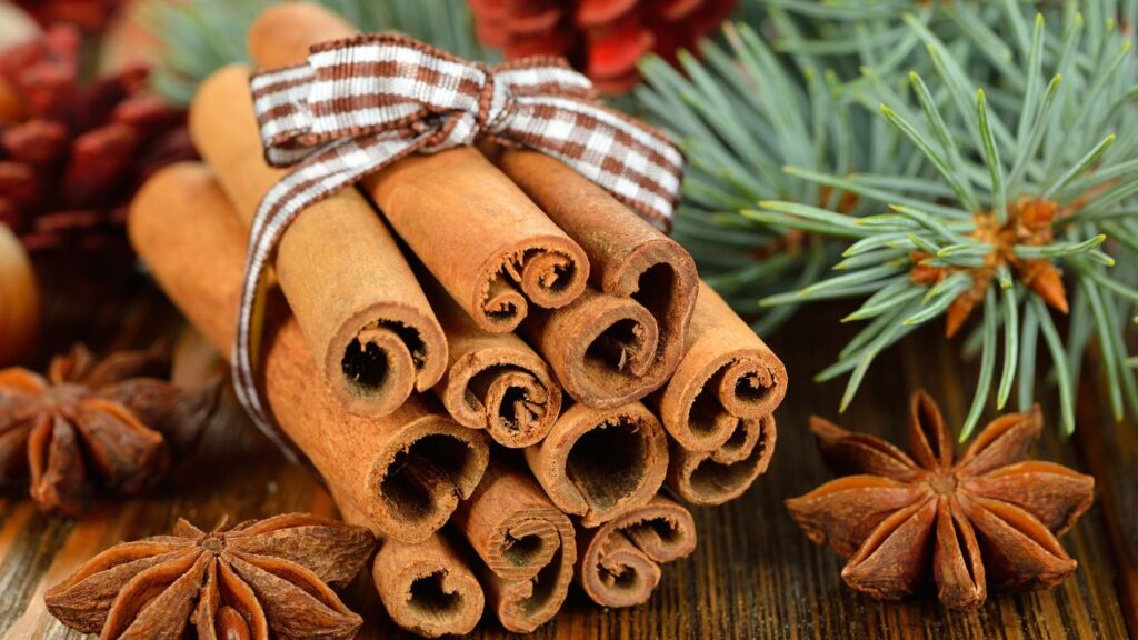 दालचीनी में एंटीबैक्टीरियल, एंटीवायरल और एंटीफंगल गुण मौजूद होते हैं. मॉनसून के समय जब वायरल संक्रमण बढ़ जाते हैं, तो दालचीनी इनसे लड़कर आपकी इम्युनिटी को मजबूत बनाती है. दालचीनी में एंटीबैक्टीरियल, एंटीवायरल और एंटीफंगल गुण मौजूद होते हैं. मॉनसून के समय जब वायरल संक्रमण बढ़ जाते हैं, तो दालचीनी इनसे लड़कर आपकी इम्युनिटी को मजबूत बनाती है.