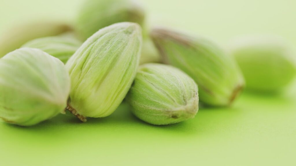 इलायची को नमी वाली और जैविक खाद मिली मिट्टी पसंद होती है. आप मिट्टी में गोबर की खाद, नारियल के रेशे और पत्तियों का खाद मिलाकर इसकी उर्वरता बढ़ा सकते हैं. यह पौधे को लंबे समय तक पोषण देता है और जलनिकासी का ध्यान भी रखता है. इलायची को नमी वाली और जैविक खाद मिली मिट्टी पसंद होती है. आप मिट्टी में गोबर की खाद, नारियल के रेशे और पत्तियों का खाद मिलाकर इसकी उर्वरता बढ़ा सकते हैं. यह पौधे को लंबे समय तक पोषण देता है और जलनिकासी का ध्यान भी रखता है.