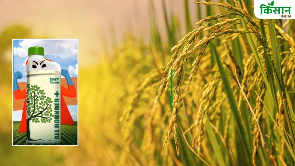 IFFCO Fertilizer