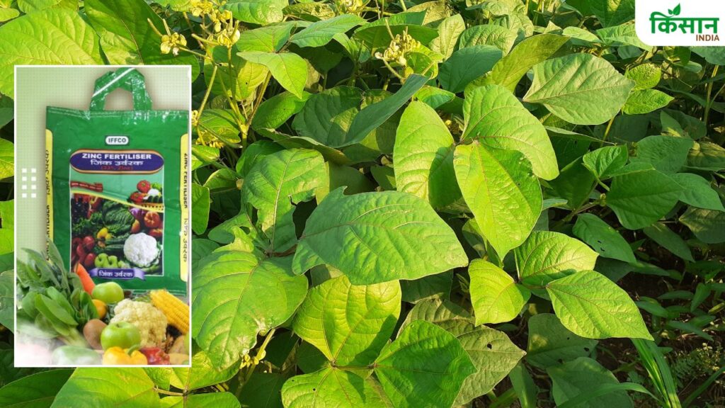 IFFCO Fertilizer