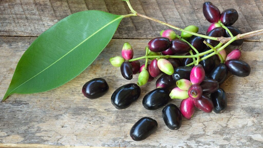 यदि आप जल्दी फल चाहते हैं, तो नर्सरी से ग्राफ्टेड (कलमी) पौधा खरीदें. ये पौधे 3-4 साल में ही फल देना शुरू कर देते हैं. साथ ही ये मजबूत, कम रोगग्रस्त और तेज़ी से बढ़ने वाले होते हैं.