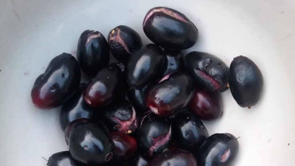 जामुन में पोटैशियम होता है, जो ब्लड प्रेशर को संतुलित रखता है. इसके बीज में मौजूद गुण खराब कोलेस्ट्रॉल (LDL) को घटाकर अच्छे कोलेस्ट्रॉल (HDL) को बढ़ाते हैं, जिससे दिल की बीमारियों का खतरा कम होता है.